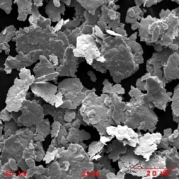 Zinc Flake SEM Micrograph Zinc Flake SEM Micrograph